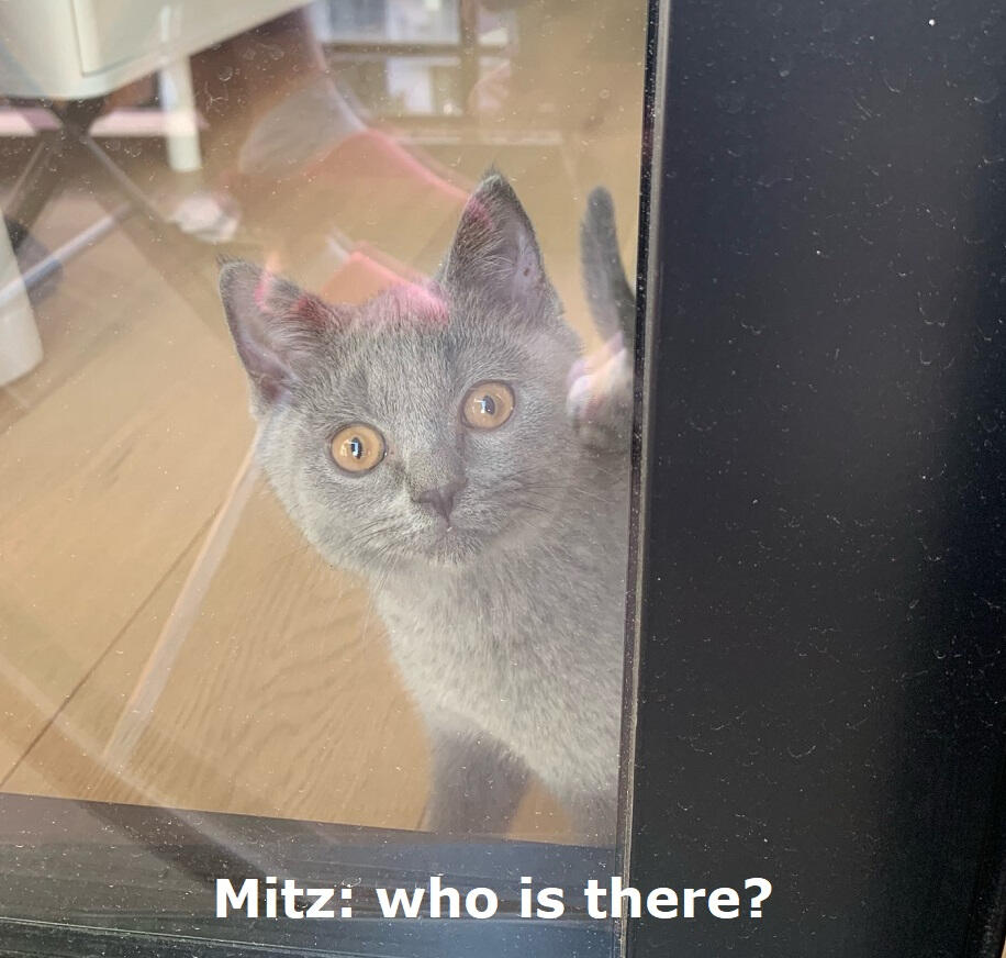 Mitz: who is there?