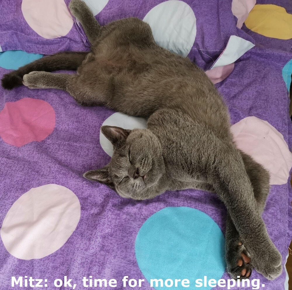 Mitz: ok, time for more sleeping.