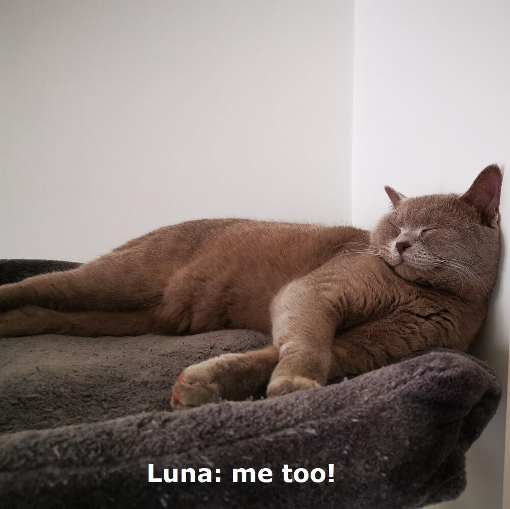 Luna: me too!